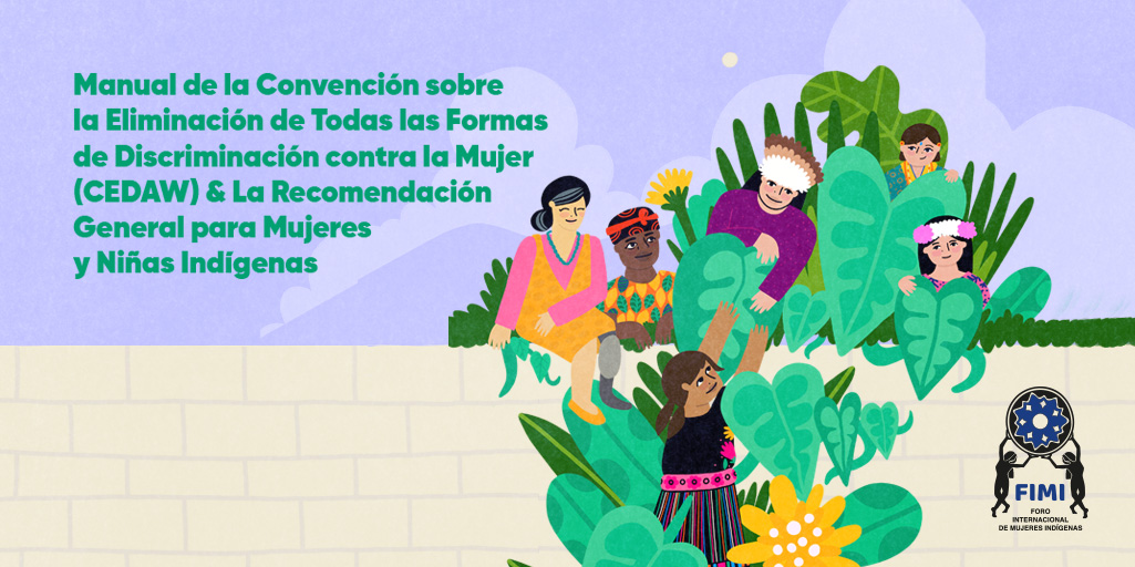 Manual Sobre La Cedaw Y La Recomendación General Sobre Mujeres Y Niñas